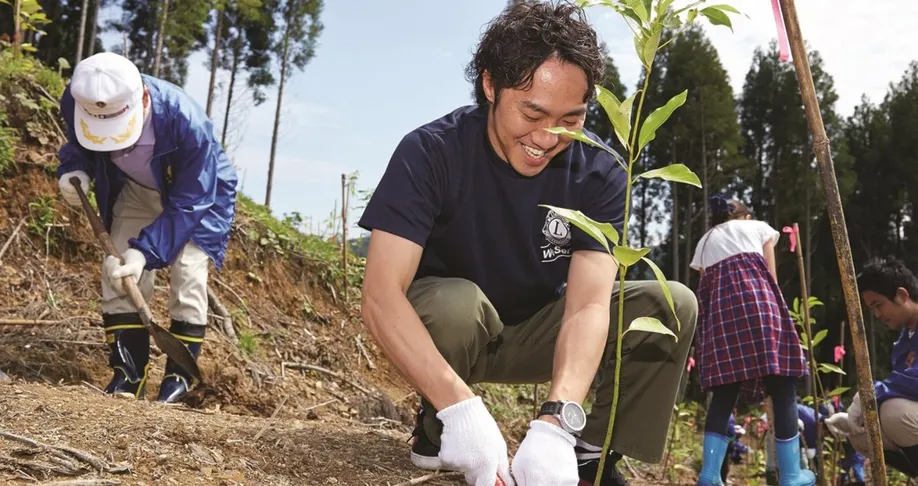 Aerial view of reforestation project